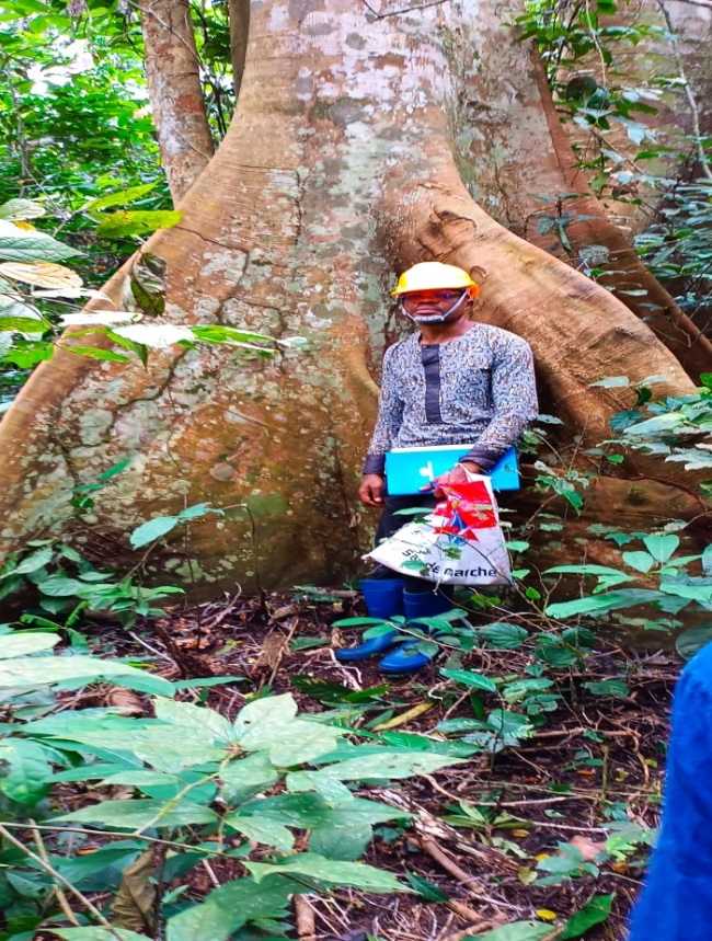 GEEC SARL réalise une mission d’inventaire carbone, multi-ressources et d’évaluation des impacts environnementaux et sociaux dans la forêt communautaire de Ghanga au Haut-Uele Une expertise congolaise au service de la conservation des forêts, de la biodiv
